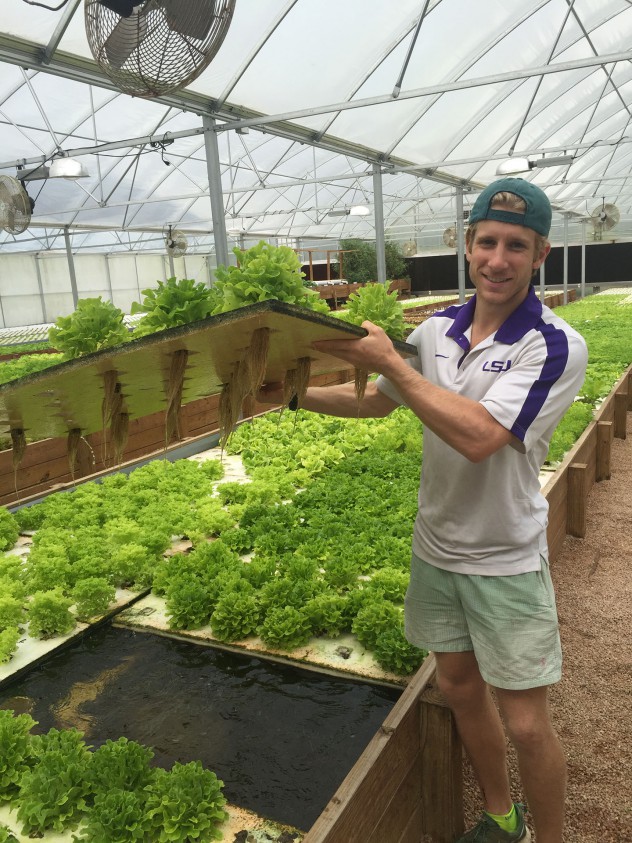 Matthew Braud shows how the plants grow in a hydroponic system.