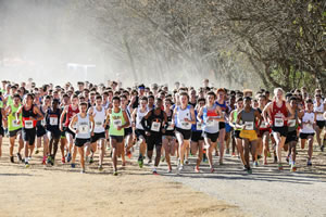 Kinkaid Runner Competes in Regional Meet