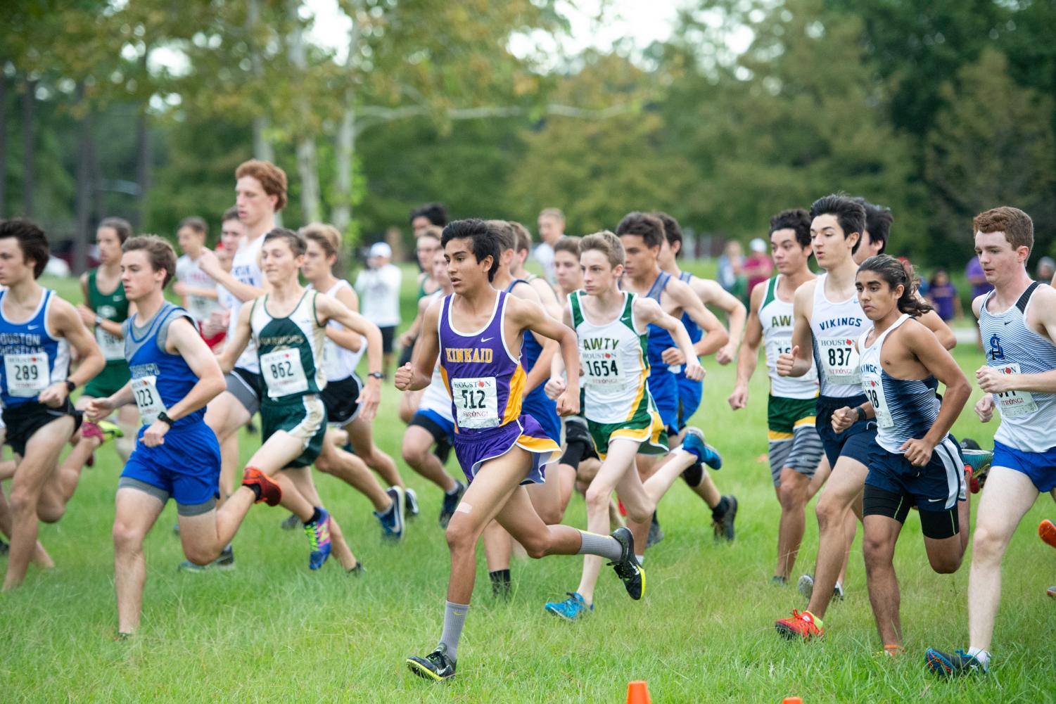 Cross country teams place 9th and 4th in second race The Falcon