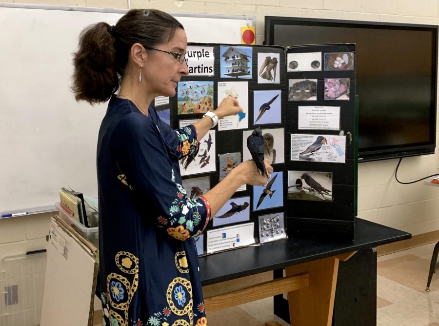 Mrs. Mary Anne Weber, Houston Audobon's education director, tells students about a purple martin, one of the birds she brought to show students. Ms. Weber's presentation Tuesday was for "Birds of a Feather," which is being taught by science teacher Mrs. Maggie Honig and English teacher Mr. Ryan Call during the Interim Term.