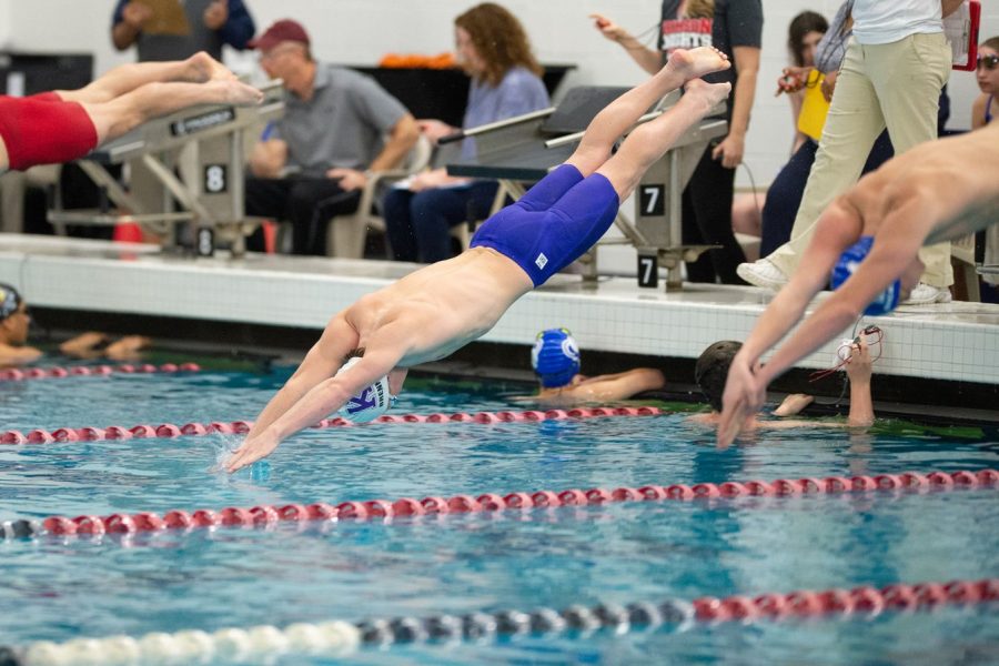 Senior Michael Bell makes an outstanding dive to start his race. 
