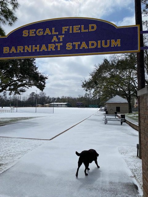 Segal Field covered with snow after Winter Storm Uri.  