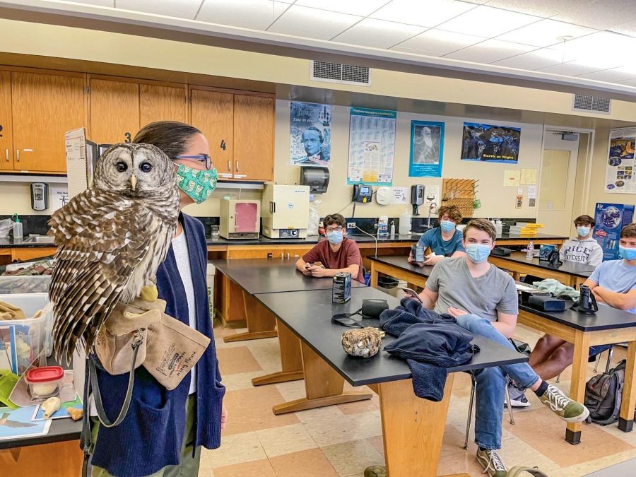 Ms. Mary Anne Webber, education director at the Houston Audubon,  shows a barred owl to students in the class, Birds of a Feather.