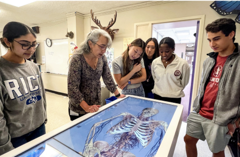 Dr. Sonia Clayton, chair of the science department, uses The Anatomage Table to examine human organs with her AP biology class. Dr.
Clayton was instrumental in asking the school to purchase the table.