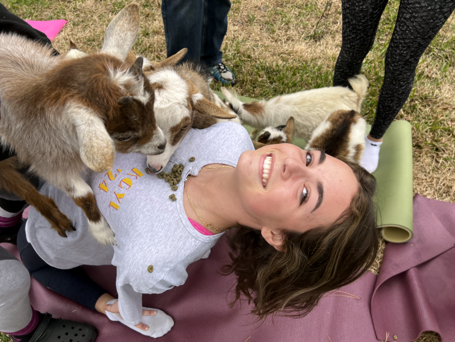 Classmates watch intently as a goat stands on top of junior Blake Butler. Many students were impressed by Butler's ability to hold the difficult backbend position while a goat balanced on his torso.
