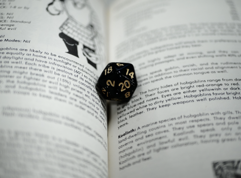 A Dungeons and Dragons die lies in the middle of a page of a guidebook.