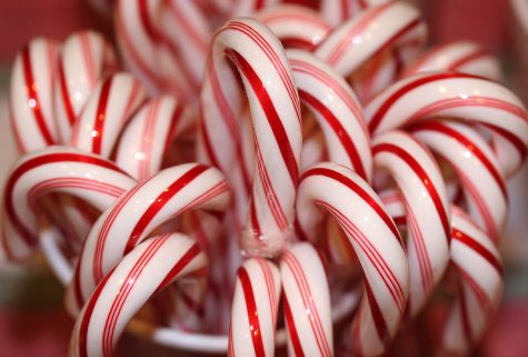 Candy canes bunched together.
