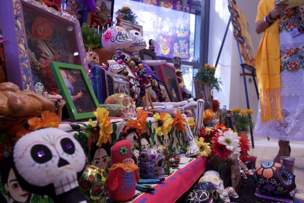The brightly decorated ofrenda, or altar de muerto (altar of the dead) is common to all indigenous cultures. Situated in the Student Life Building, the ofrenda at Kinkaid was adorned with “cempasúchil” marigold flowers, which were said to attract the souls of deceased loved ones from the world of the dead.