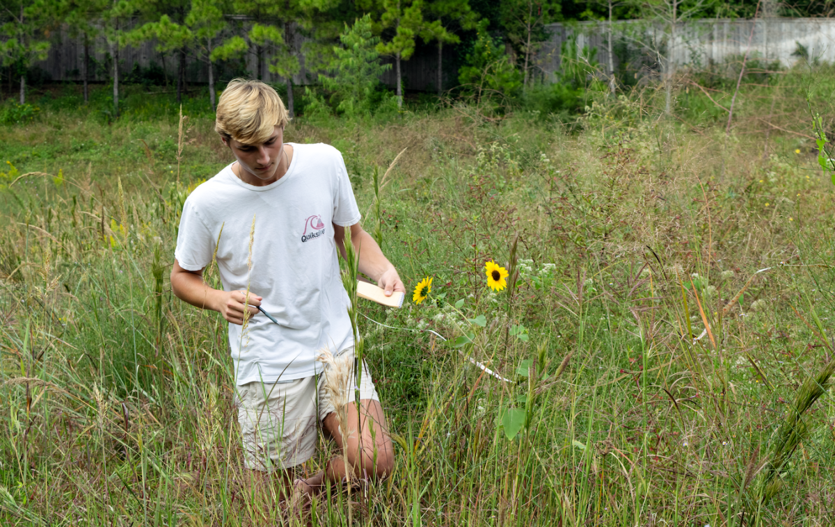Senior Garrett Masterson surveys his plots and records species richness and abundance. 
